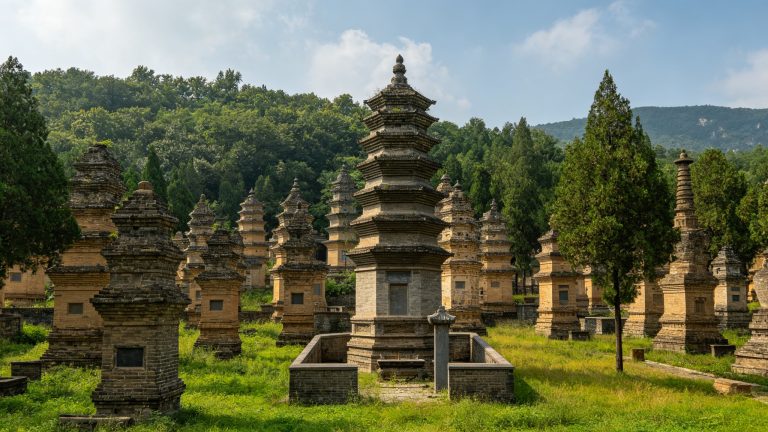 Luoyang In-Depth: 4 Days Heritage, Peony & Buddhist Art