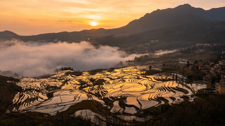 China Wonder Tours-Yunnan Tours