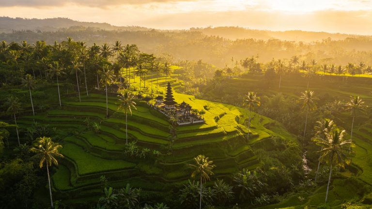 10-Day Bali to Flores: Komodo Dragons, Tribal Treks & Island Living