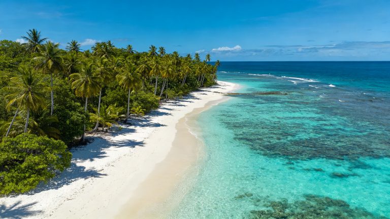 Solomon Islands Diving Explorer: WWII Wrecks, Reefs & Iron Bottom Sound