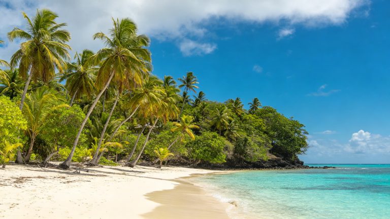Tonga Island Explorer – 6 Days